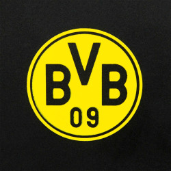 Borussia Dortmund Wandflaschenöffner Flaschenöffner Öffner BVB 09