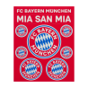FC Bayern München 2er Set Aufkleberkarte - Schriftzüge & Logo - 21 Einzelsticker Aufkleber FCB