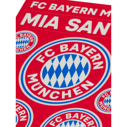 FC Bayern München 2er Set Aufkleberkarte - Schriftzüge & Logo - 21 Einzelsticker Aufkleber FCB
