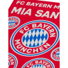 FC Bayern München 2er Set Aufkleberkarte - Schriftzüge & Logo - 21 Einzelsticker Aufkleber FCB