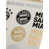 FC Bayern München 2er Set Aufkleberkarte - Schriftzüge & Logo - 21 Einzelsticker Aufkleber FCB