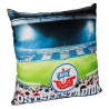 F.C. Hansa Rostock LED Kissen - Ostseestadion - Stadion Dekokissen FCH