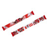 RB Leipzig Printschal - Bulli - Fanschal Schal scarf RBL