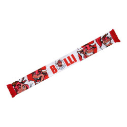 RB Leipzig Printschal - Bulli - Fanschal Schal scarf RBL