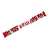 RB Leipzig Printschal - Bulli - Fanschal Schal scarf RBL