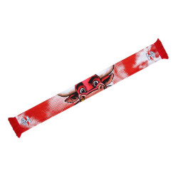 RB Leipzig Printschal - Bulli - Fanschal Schal scarf RBL