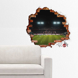 1. FC Köln Wandtattoo - RheinEnergieSTADION - Wand Dekor Sticker