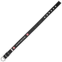 Eintracht Frankfurt Hundehalsband Groß Halsband 40-55 cm SGE