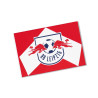 RB Leipzig Hissfahne -  Arrow - 100 x 150 cm Fahne Pfeil-Design groß Flagge Logo RBL