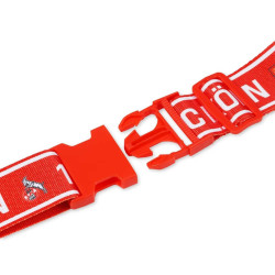 1. FC Köln Kofferband Gepäckband Gepäckgurt Kofferriemen Koffergurt