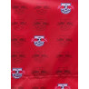 RB Leipzig Club Rucksack ROT Backpack RBL