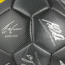 Borussia Dortmund Ball Signature 2024/25 Unterschriftenball Gr. 5 BVB 09