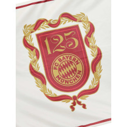 FC Bayern München Hissfahne - Logo 125 Jahre - 180 x 120 cm Hissflagge | Flagge | Fahne FCB