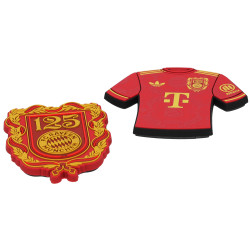 FC Bayern München Magnet 2er Set - 125 Jahre Logo & Trikot - Kühlschrankmagnet FCB