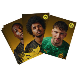 Borussia Dortmund Autogrammkarten Team 2025/26 | unsigniert | Sammelkarten | Autographs card | BVB 09