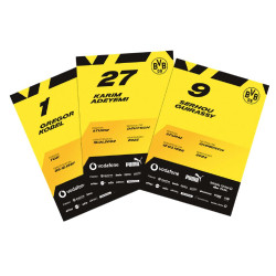 Borussia Dortmund Autogrammkarten Team 2025/26 | unsigniert | Sammelkarten | Autographs card | BVB 09
