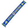 Eintracht Braunschweig Schal - Flutlicht - blaugelb | Fanschal | BTSV