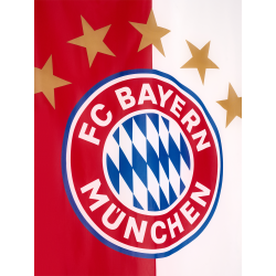 FC Bayern München Bannerfahne - Logo - 300 x 120 cm | XXL Fahne | Hochformat FCB