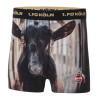 1. FC Köln Boxershorts - Kleines Geißbockheim - Shorts | Unterhose - Gr. S/M bis 2XL/3XL