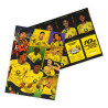 Borussia Dortmund Adventskalender mit Autogrammkarten und Poster - Plus Schal BVB 09