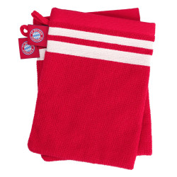 FC Bayern München Waschhandschuh 2er Set | Waschlappen | Seiflappen | FCB