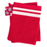 FC Bayern München Waschhandschuh 2er Set | Waschlappen | Seiflappen | FCB