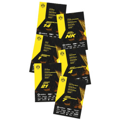 Borussia Dortmund Autogrammkarten mit gedruckten Unterschriften 26/27 | Sammelkarten | BVB 09