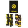 Borussia Dortmund Autogrammkarten Set 26/27 | Sammelkarten | BVB 09