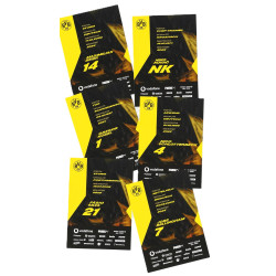 Borussia Dortmund Autogrammkarten Set 26/27 | Sammelkarten | BVB 09