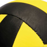 Borussia Dortmund Volleyball Beachvolleyball Gr. 5 Ball BVB 09