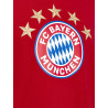 FC Bayern München T-Shirt - 5 Sterne - Logo rot FCB Shirt - Gr. 3XL noch verfügbar
